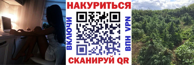 МАРИХУАНА сатива  Пошехонье 
